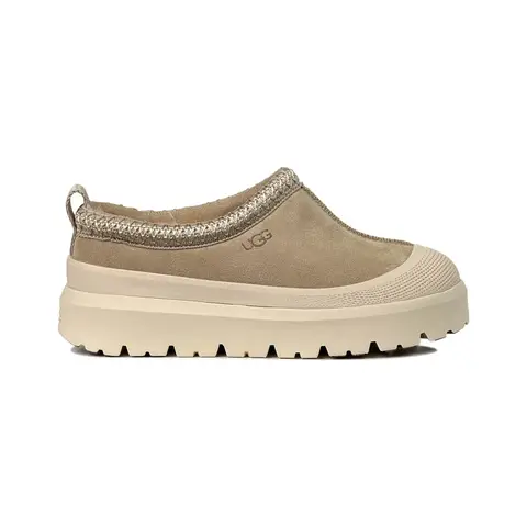 Ugg Tazz Hybrid Mustard Seed